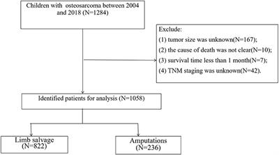 Amputation Predisposes to Higher Cancer-Specific Mortality Than Limb Salvage Surgery in Pediatric Patients With Osteosarcoma of the Limbs: A Propensity Matching Analysis